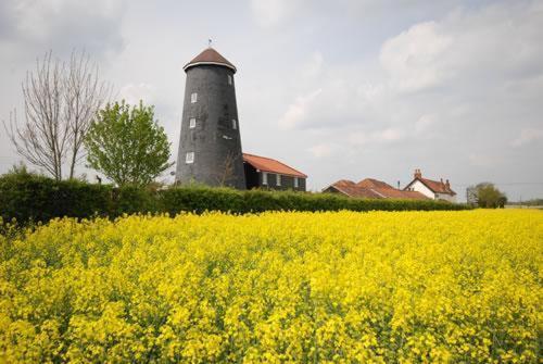 이스트데어햄 Yaxham Mill B&B 외부 사진